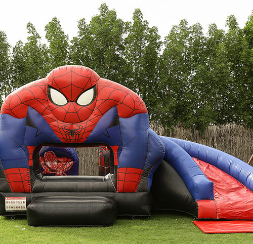 Spider Man Bouncy